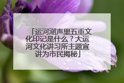 运河潮声里五重文化印记是什么？大运河文化讲习所主题宣讲为市民揭秘