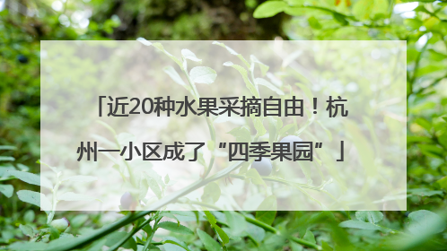 近20种水果采摘自由！杭州一小区成了“四季果园”