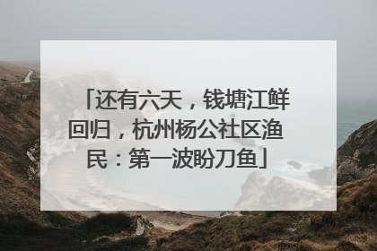 还有六天，钱塘江鲜回归，杭州杨公社区渔民：第一波盼刀鱼