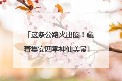 这条公路火出圈！藏着集安四季神仙美景