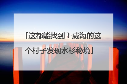 这都能找到！威海的这个村子发现水杉秘境