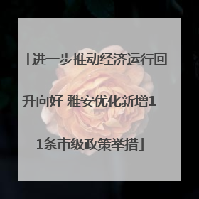 进一步推动经济运行回升向好 雅安优化新增11条市级政策举措