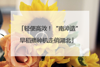 轻便高效！“南漳造”旱稻播种机走俏湖北
