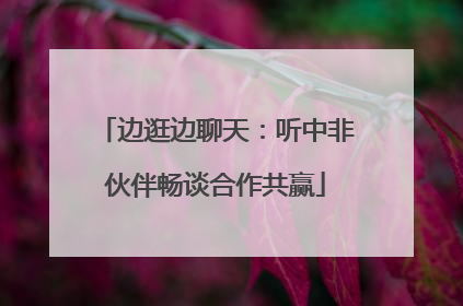 边逛边聊天：听中非伙伴畅谈合作共赢