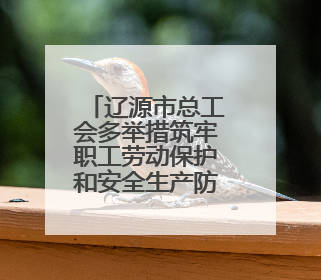 辽源市总工会多举措筑牢职工劳动保护和安全生产防线