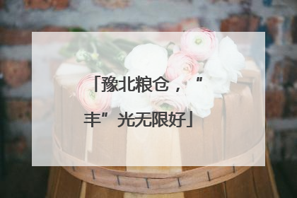 豫北粮仓，“丰”光无限好