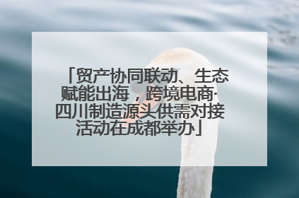 贸产协同联动、生态赋能出海，跨境电商·四川制造源头供需对接活动在成都举办