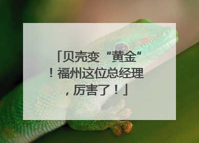 贝壳变“黄金”！福州这位总经理，厉害了！