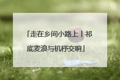 走在乡间小路上丨祁底麦浪与机杼交响