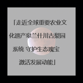 走近全球重要农业文化遗产皋兰什川古梨园系统 守护生态瑰宝 激活发展动能