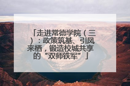 走进常德学院（三）：政策筑基、引凤来栖，锻造校城共享的“双师铁军”