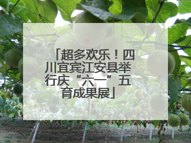 超多欢乐！四川宜宾江安县举行庆“六一”五育成果展