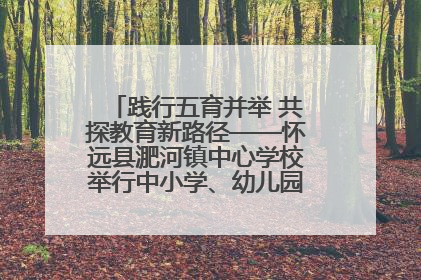 践行五育并举 共探教育新路径——怀远县淝河镇中心学校举行中小学、幼儿园班主任论坛活动