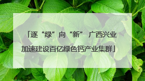 逐“绿”向“新” 广西兴业加速建设百亿绿色钙产业集群