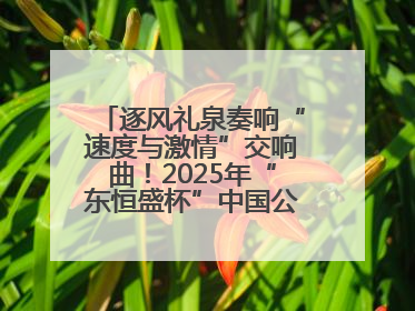 逐风礼泉奏响“速度与激情”交响曲！2025年“东恒盛杯”中国公路自行车联赛第五站（陕西·礼泉站）正式开赛