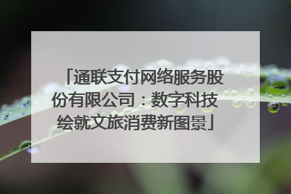 通联支付网络服务股份有限公司：数字科技绘就文旅消费新图景