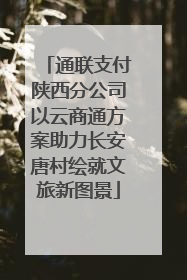 通联支付陕西分公司以云商通方案助力长安唐村绘就文旅新图景
