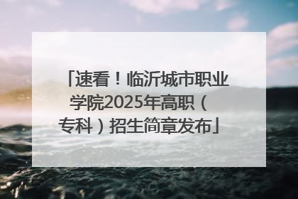 速看！临沂城市职业学院2025年高职（专科）招生简章发布