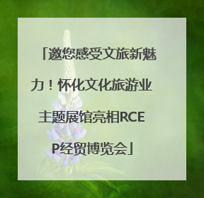 邀您感受文旅新魅力！怀化文化旅游业主题展馆亮相RCEP经贸博览会