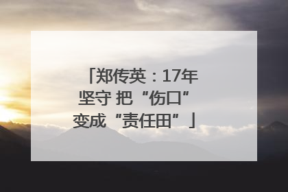 郑传英：17年坚守 把“伤口”变成“责任田”