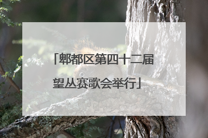 郫都区第四十二届望丛赛歌会举行