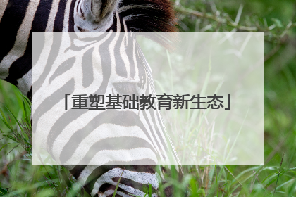 重塑基础教育新生态