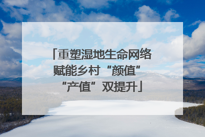 重塑湿地生命网络 赋能乡村“颜值”“产值”双提升