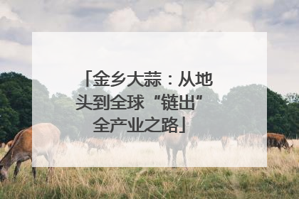 金乡大蒜：从地头到全球“链出”全产业之路