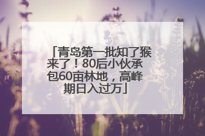 青岛第一批知了猴来了！80后小伙承包60亩林地，高峰期日入过万