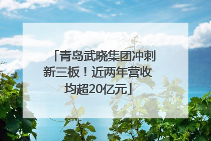 青岛武晓集团冲刺新三板！近两年营收均超20亿元