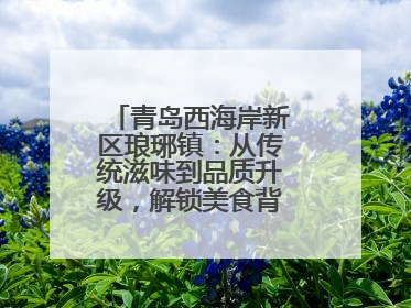 青岛西海岸新区琅琊镇：从传统滋味到品质升级，解锁美食背后的文化密码