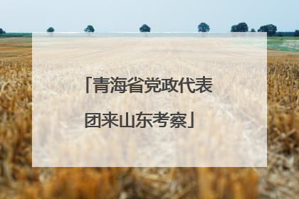 青海省党政代表团来山东考察