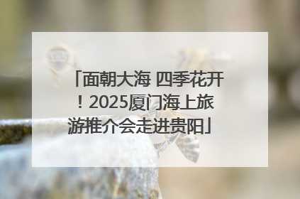 面朝大海 四季花开！2025厦门海上旅游推介会走进贵阳