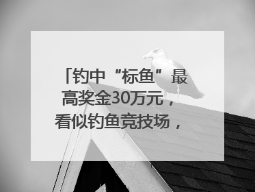 钓中“标鱼”最高奖金30万元，看似钓鱼竞技场，实则以高额“回报”作“饵”……｜今晚九点半