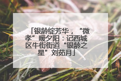 银龄绽芳华，“微孝”暖夕阳：记西城区牛街街道“银龄之星”刘茹月