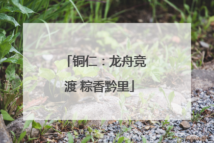 铜仁：龙舟竞渡 粽香黔里