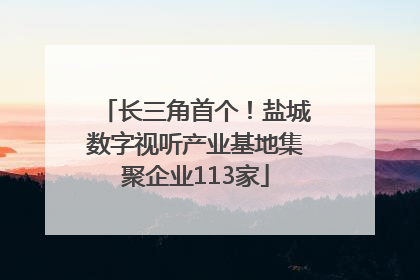 长三角首个！盐城数字视听产业基地集聚企业113家