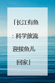 长江有鱼：科学放流 迎接鱼儿回家
