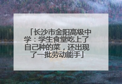 长沙市金阳高级中学：学生食堂吃上了自己种的菜，还出现了一批劳动能手
