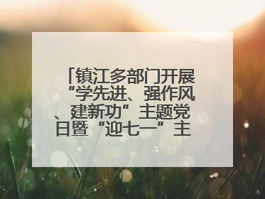镇江多部门开展“学先进、强作风、建新功”主题党日暨“迎七一”主题活动