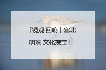 镜观·回响丨塞北明珠 文化瑰宝