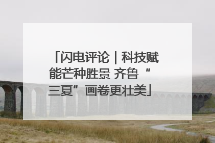 闪电评论｜科技赋能芒种胜景 齐鲁“三夏”画卷更壮美