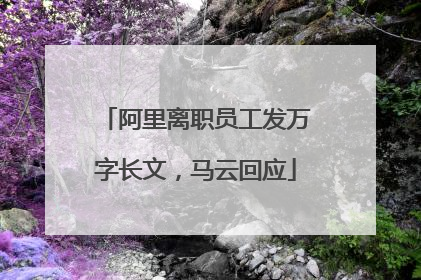 阿里离职员工发万字长文，马云回应