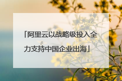 阿里云以战略级投入全力支持中国企业出海
