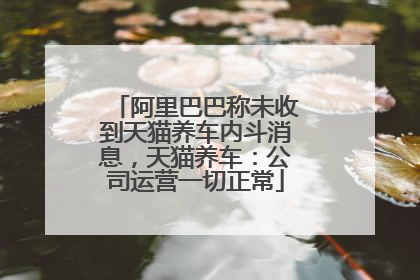阿里巴巴称未收到天猫养车内斗消息，天猫养车：公司运营一切正常