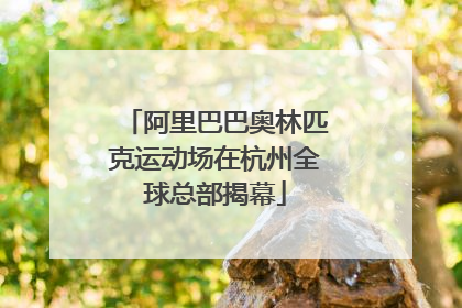 阿里巴巴奥林匹克运动场在杭州全球总部揭幕