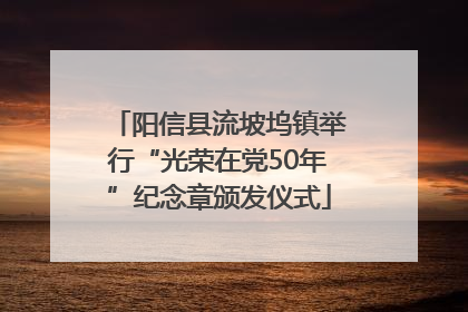 阳信县流坡坞镇举行“光荣在党50年”纪念章颁发仪式