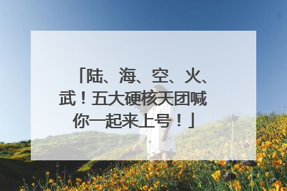 陆、海、空、火、武！五大硬核天团喊你一起来上号！