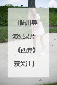 陆川导演纪录片《西野》获关注