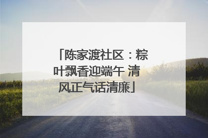 陈家渡社区：粽叶飘香迎端午 清风正气话清廉